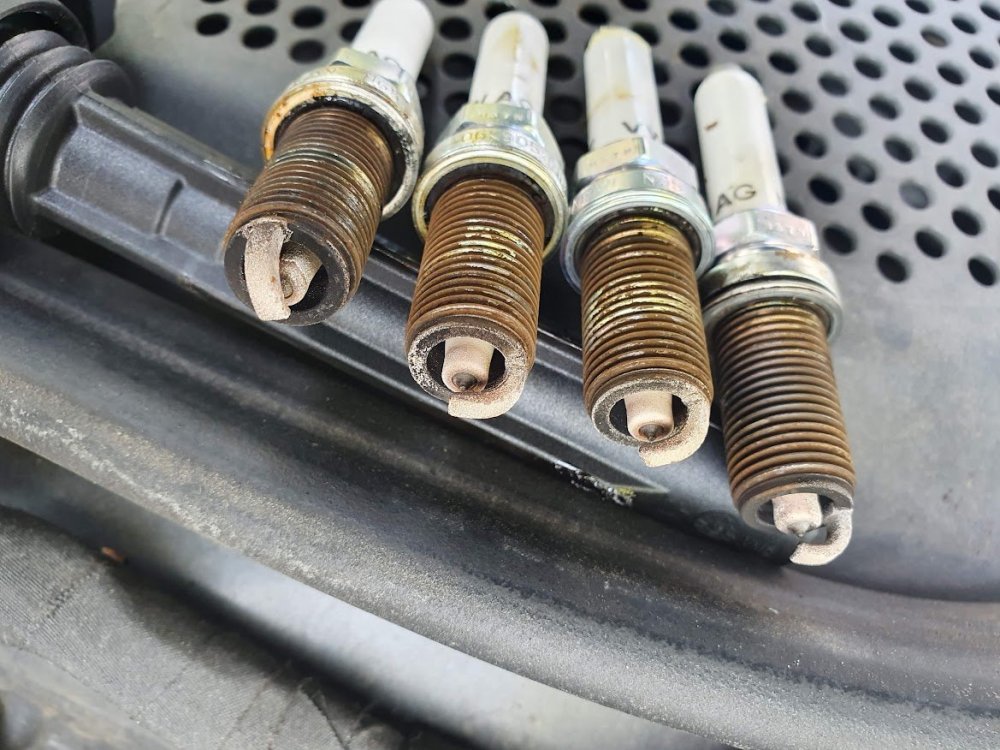 Plugs260k.jpg
