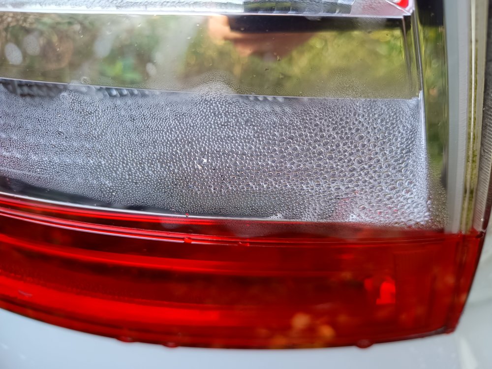 Rear light water ingress (1).jpg