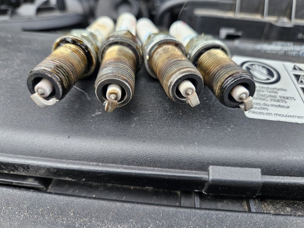 plugs2 80k.jpg