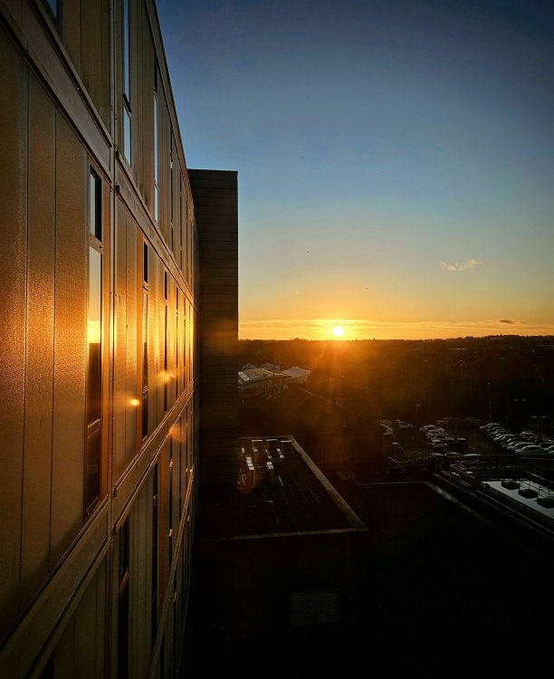 20241127_153921~3.jpg