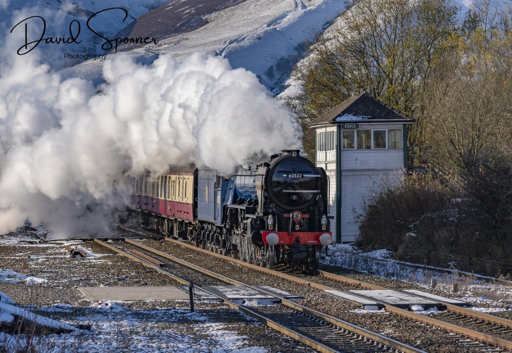 DSC_2861_Sig.jpg