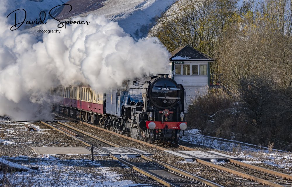 DSC_2863_Sig.jpg