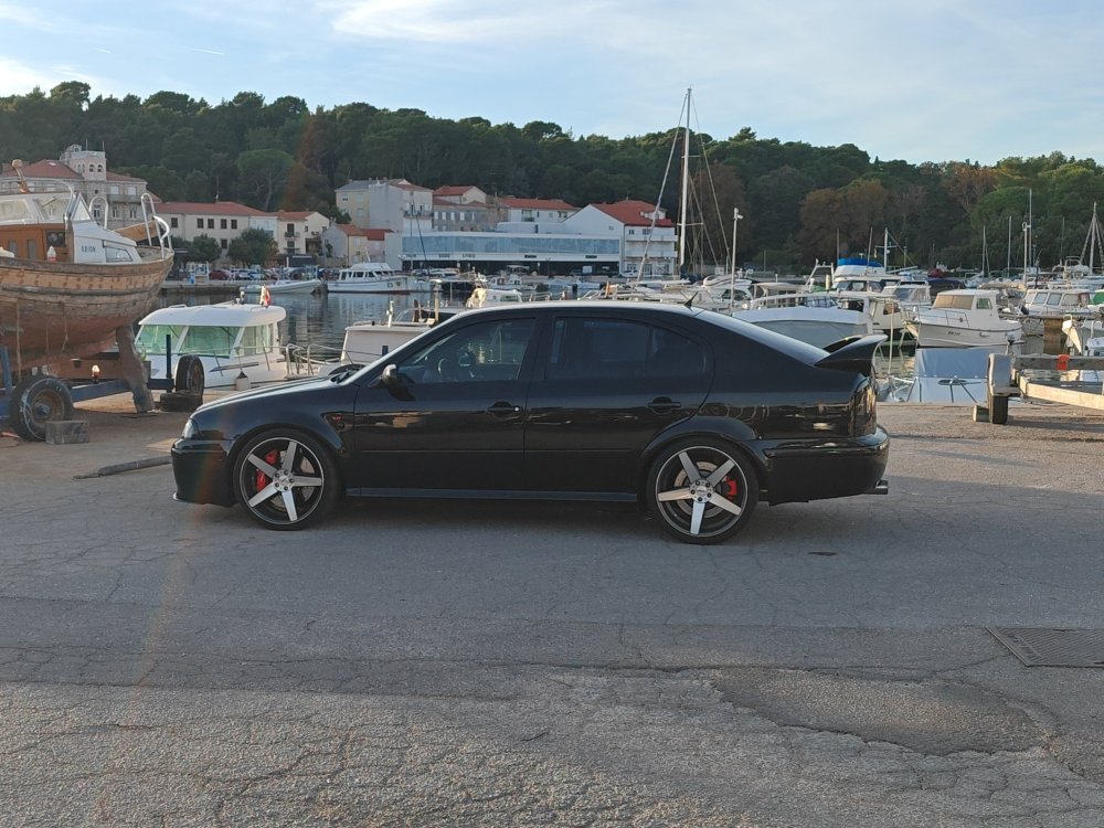 IMG_20241103_155233.jpg
