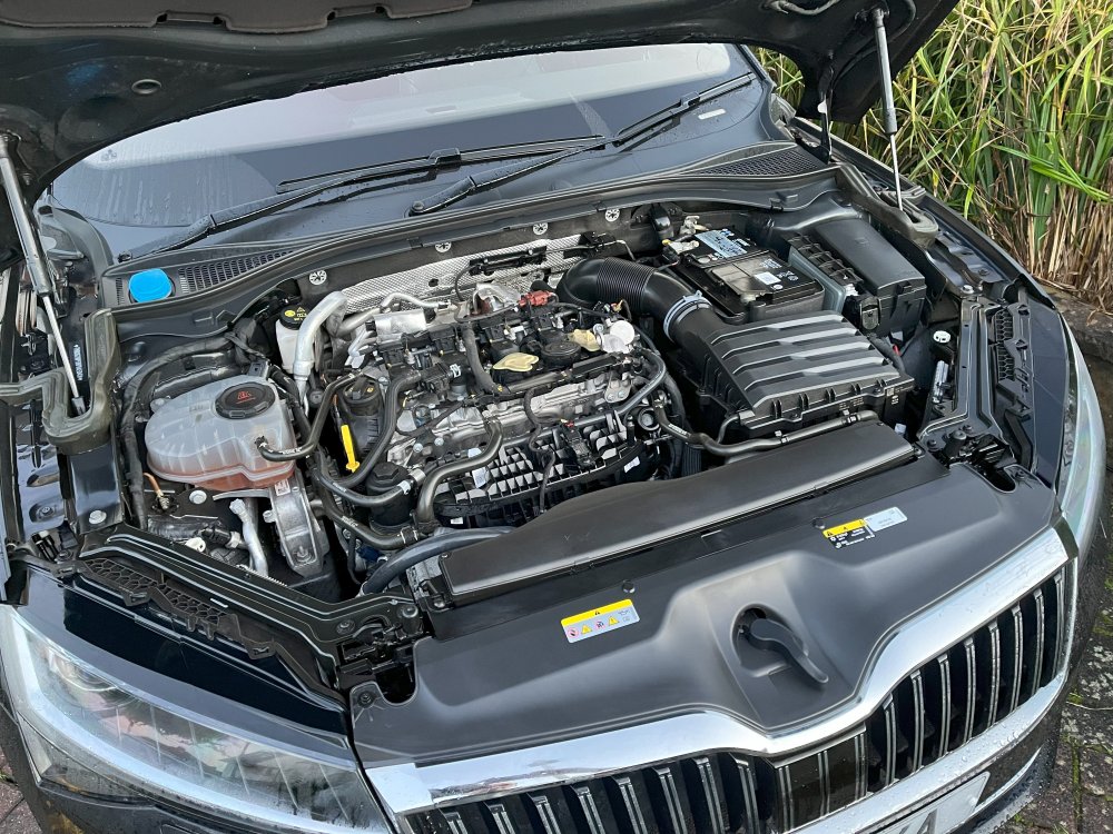 Superb engine after jpg.jpg
