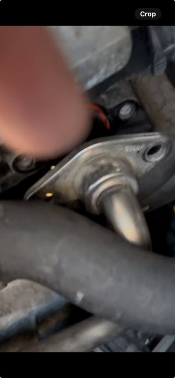 image.thumb.jpeg.1c5fe3de16102fc1fc35e065a47826da.jpeg