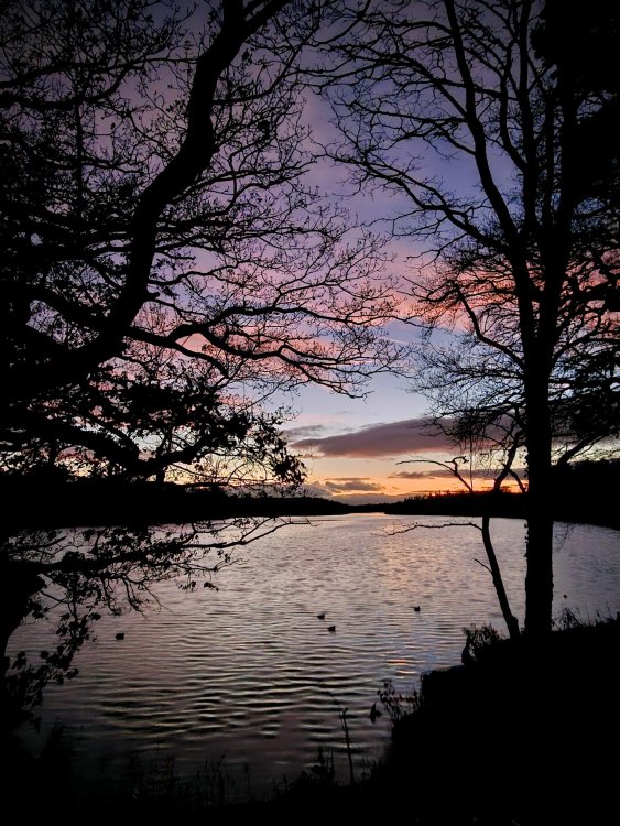 20241229_1649012.thumb.jpg.f775cda6fa81d3317819868d9a37b4b1.jpg