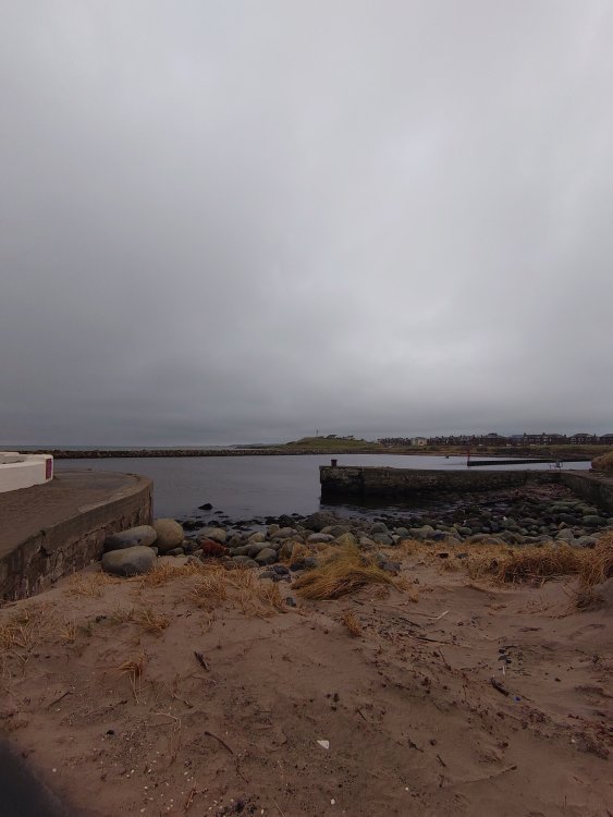 DSC_2640.JPG
