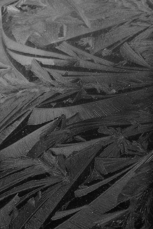 20250125_1044022.thumb.jpg.7903f3f018e68d5e8ed49d0f79c3d67e.jpg
