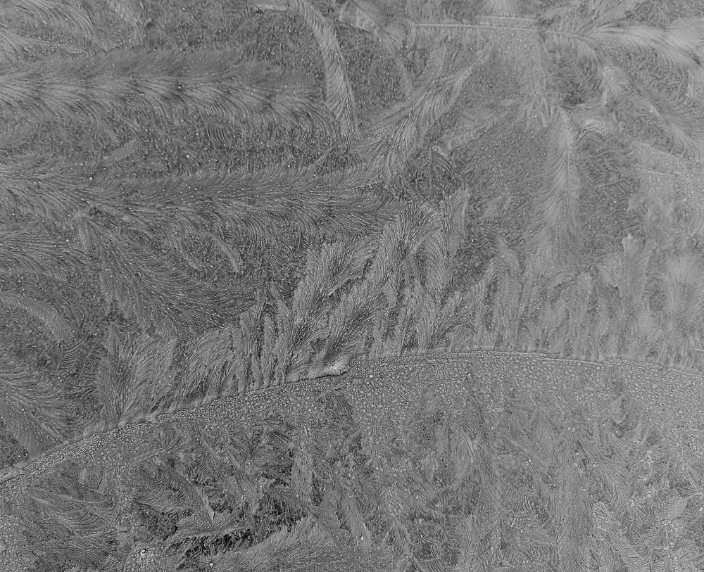 20250125_1044282.thumb.jpg.a280b62c85f8a339c3e10894c5dda1cb.jpg