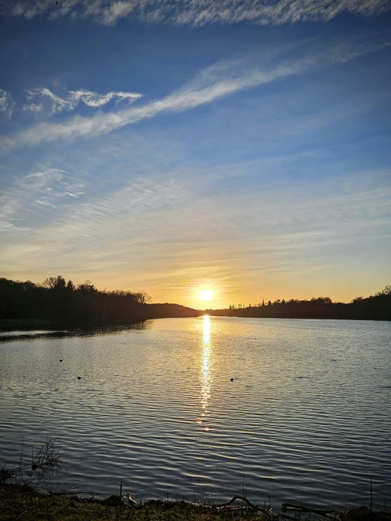 20250125_1612382.thumb.jpg.0ebd9adc6567e6932faea225f59efc6f.jpg