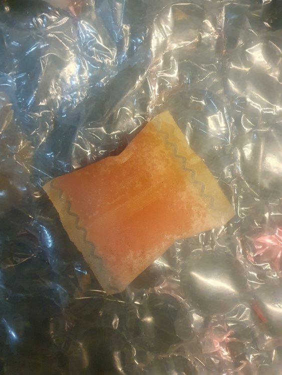 20250128_184807.jpg