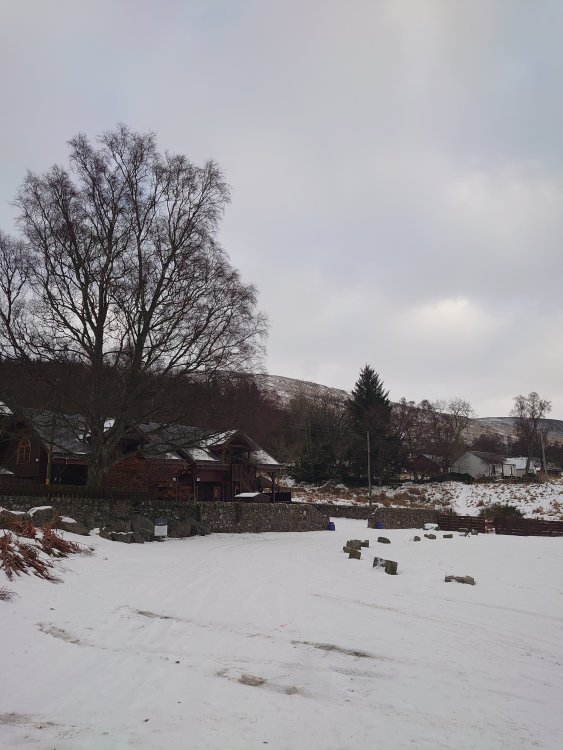 DSC_2746.JPG