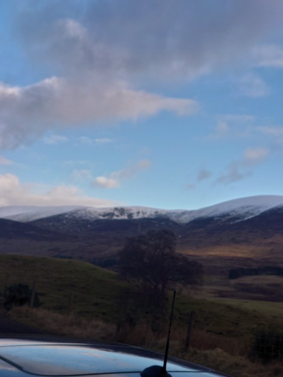 DSC_2893.JPG
