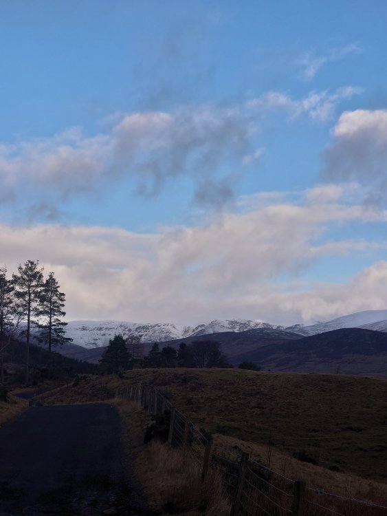DSC_2894.JPG
