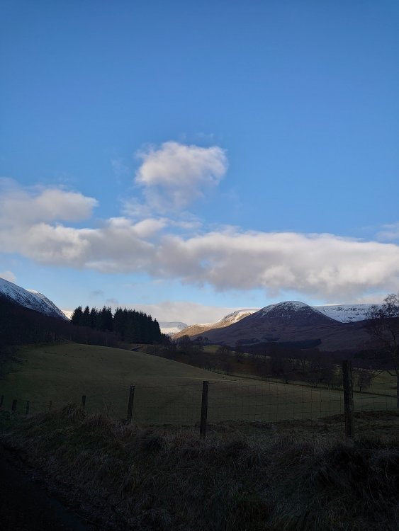 DSC_2895.JPG