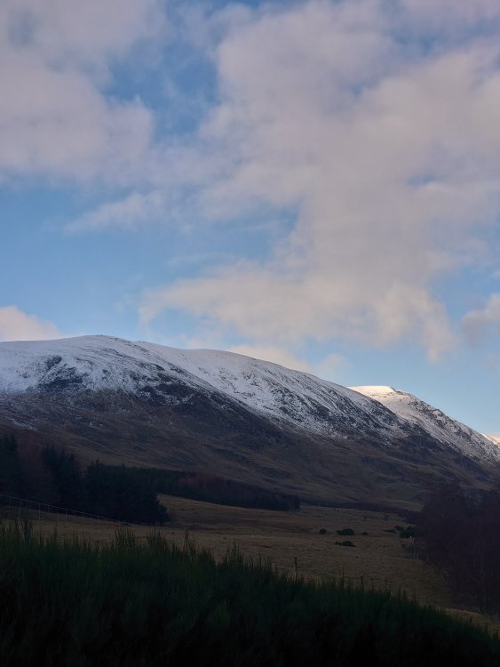 DSC_2902.JPG