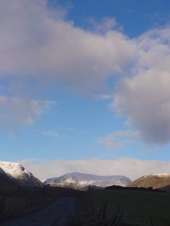 DSC_2903.JPG