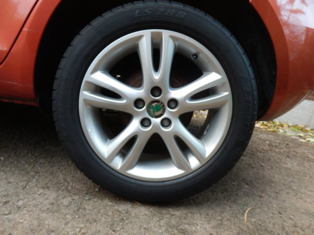 FabiaAnja16inAlioy.thumb.JPG.edaf525b6e42a7ecc8a3355f8010d35a.JPG