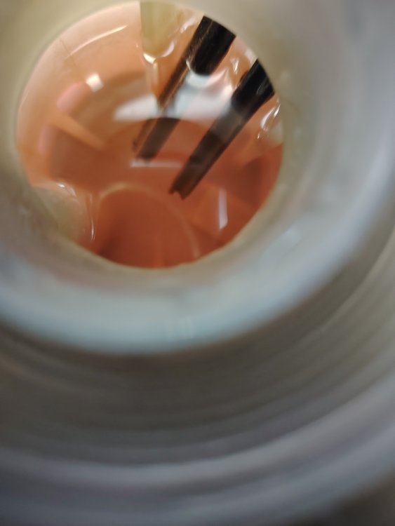 IMG_20250120_172010.jpg