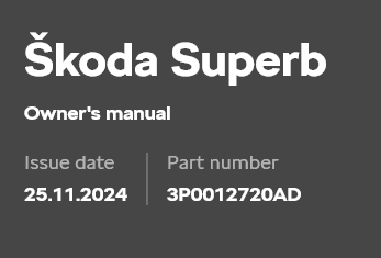 Screenshot2025-01-01at16-54-12Skoda.png.4f53385358120963c0bd0cb8c2612399.png