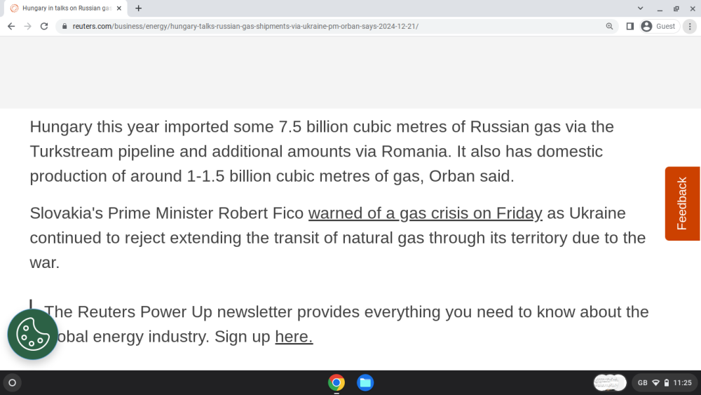 Screenshot 2025-01-19 11.25.37 AM.png