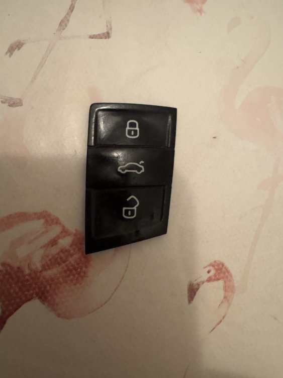 image.jpeg