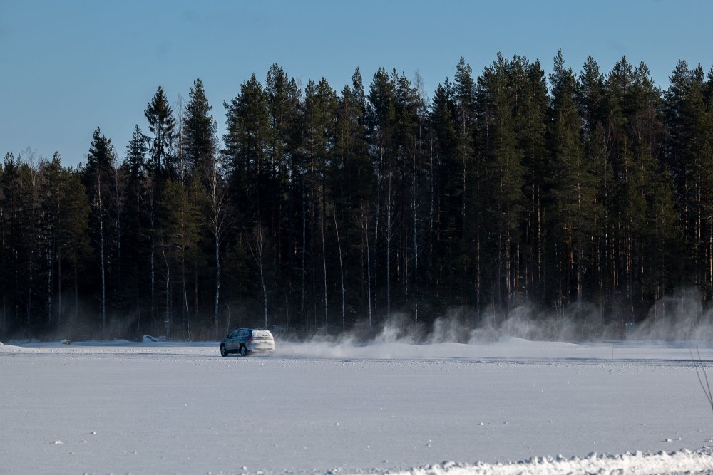 P1108438.jpg