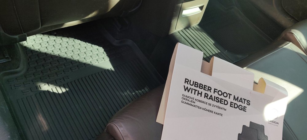 20250306 01 Rear rubber mats.jpg