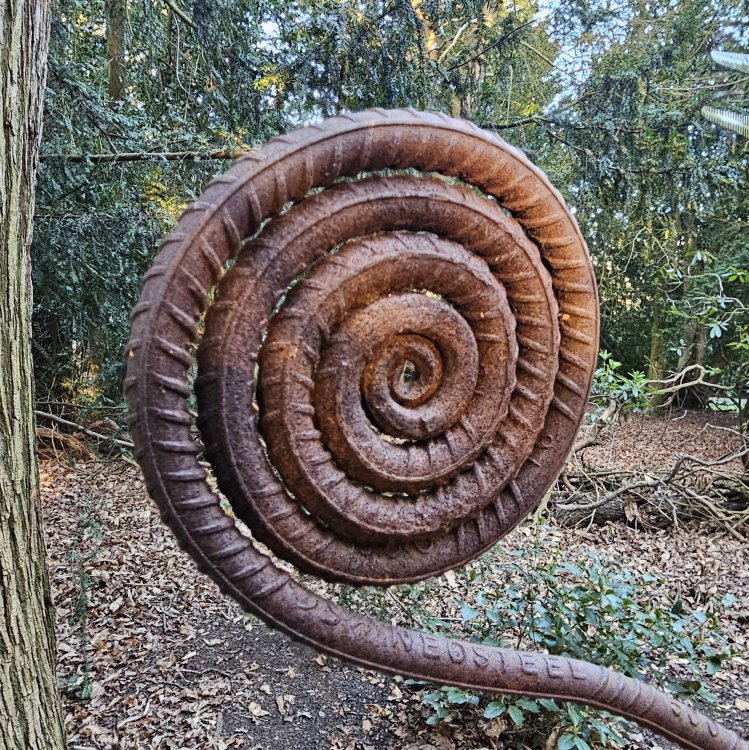 20250317_171546.jpg