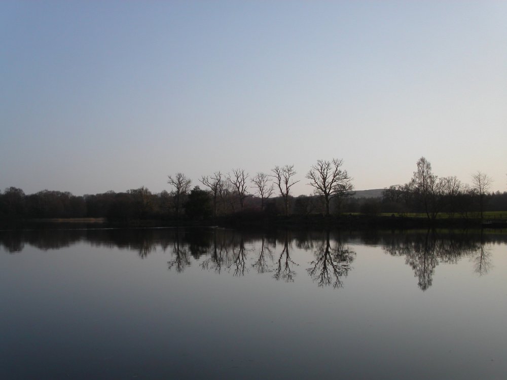 PICT0037.JPG