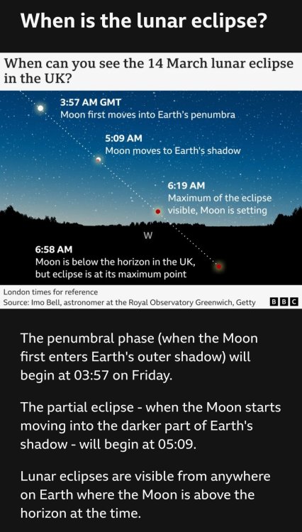 Screenshot_20250313_130820_BBC News.jpg