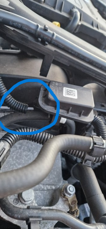 hose 2.png