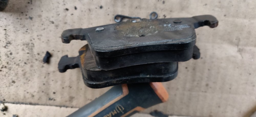 20250425 02 Rear right pads.jpg