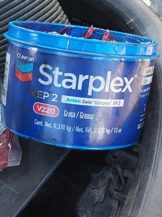 20250425_145603.jpg