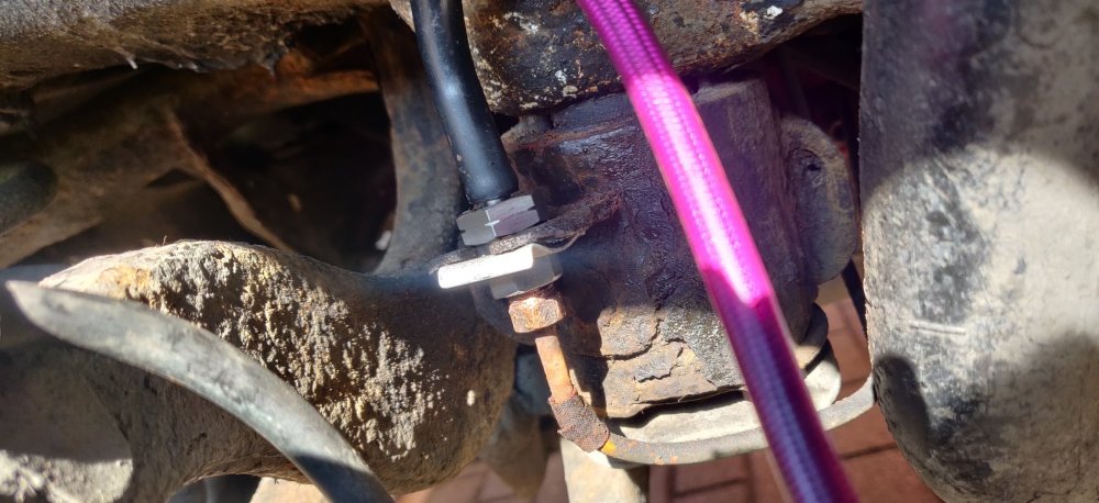 20250427 06 Clips installed.jpg