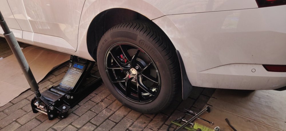 20250427 08 Dry fitted.jpg