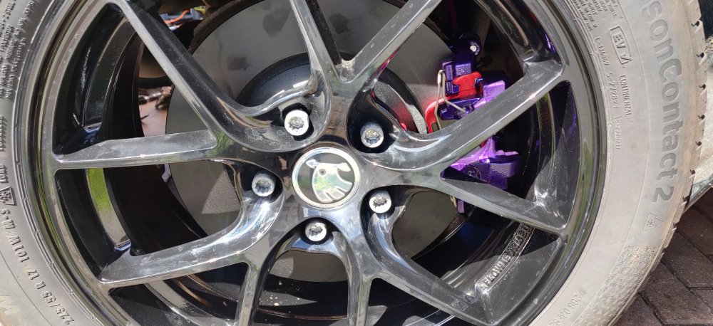 20250427 09 Rears all fitted.jpg