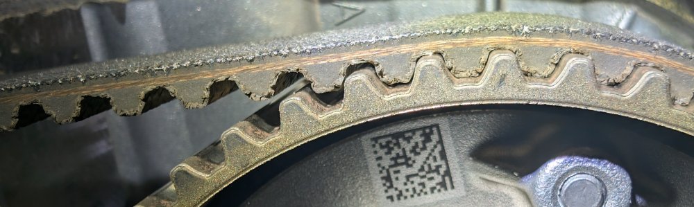 PXL_20250413_123022404~2.jpg