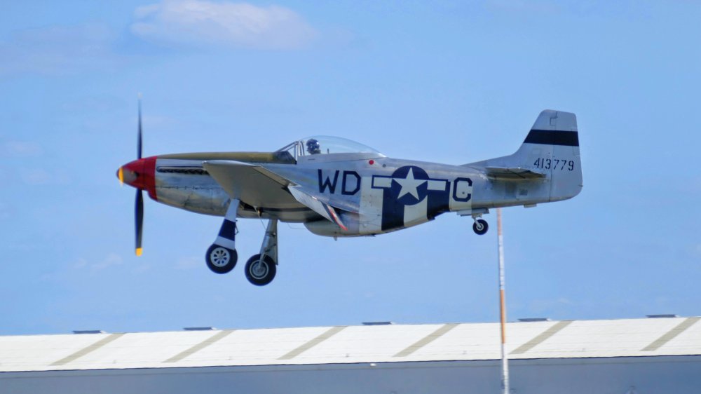 1360067~4.jpg