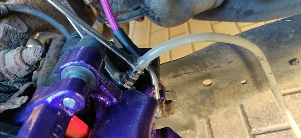 20250430 14 Rear bleeding.jpg