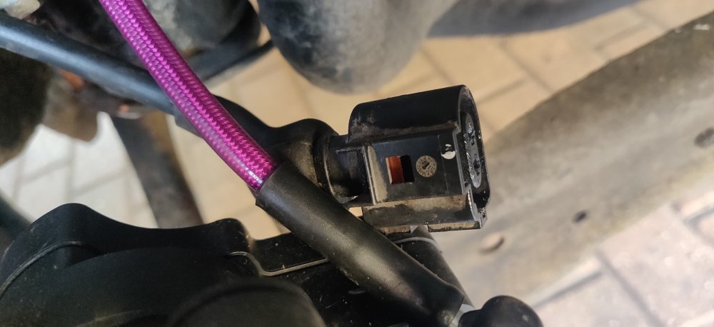 20250501 06 Damaged plug.jpg