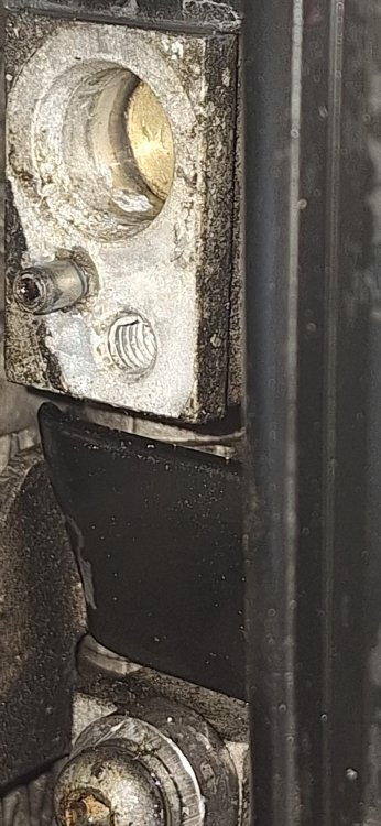 20250501_151736.jpg