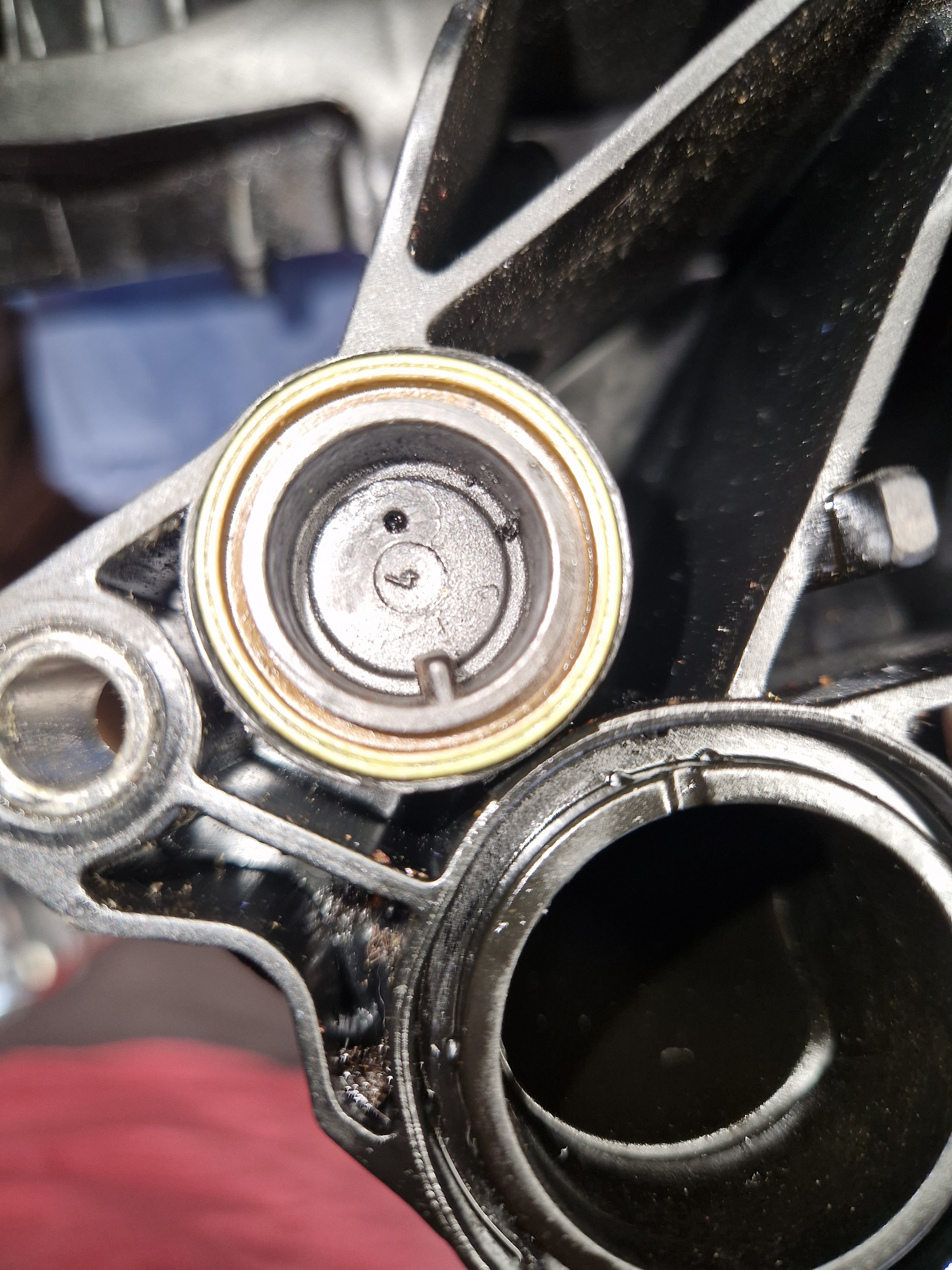 Walnut shell intake cleaning for (GDI) direct injection engines; anyone ...