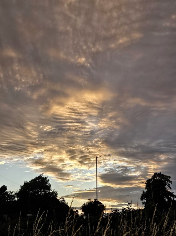 20250623_212946~2.jpg