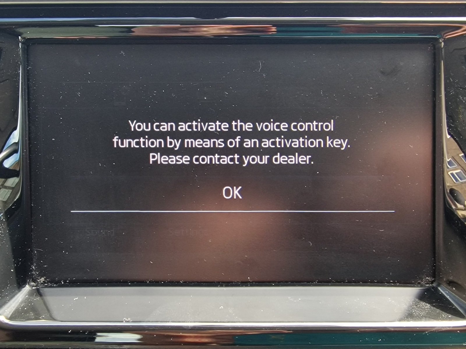 Voice Control & Skoda Connect Services Management Activation????