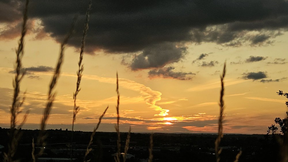 20250716_210814.jpg