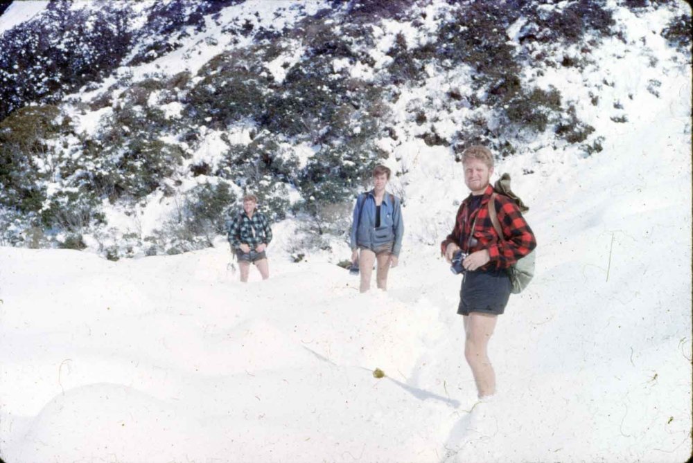 057 Marcel in Snow.jpg