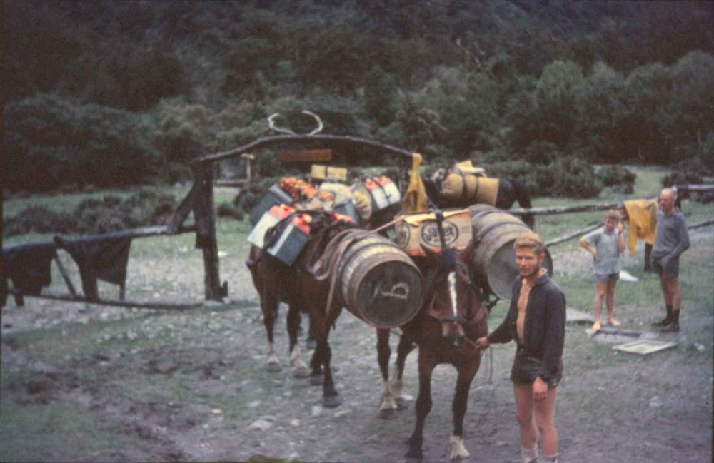 096 Marcel & horses.jpg