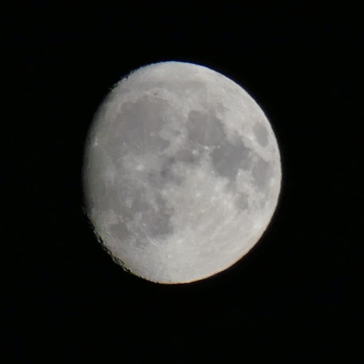 1400252.jpg