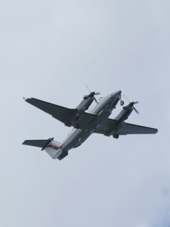 1400590.jpg